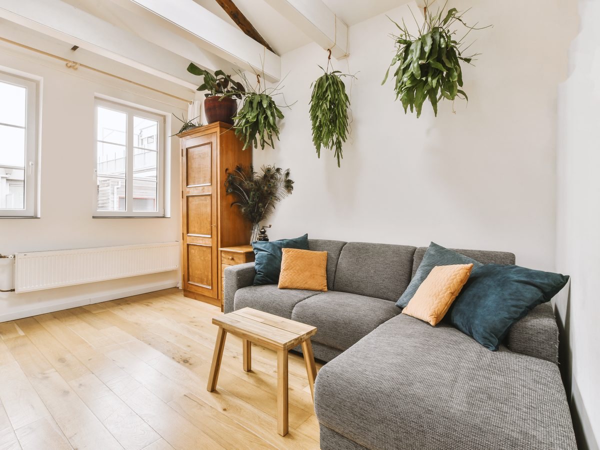 Comprar para alquilar: cómo calcular la rentabilidad de una vivienda 2 Salón de un piso pequeño con sofá gris, plantas colgantes y armario de madera, listo como inversión inmobiliaria en Zaragoza