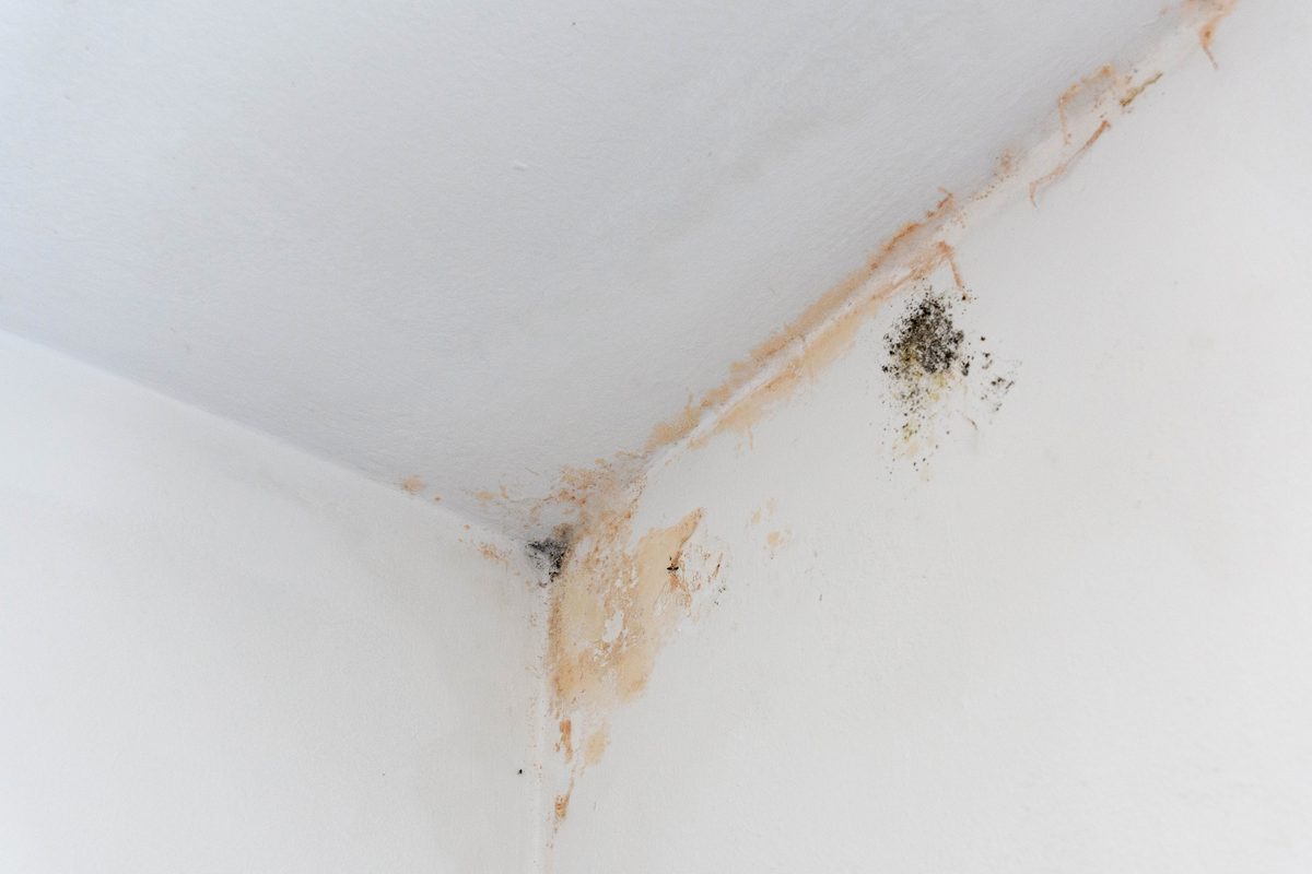 Qué revisar antes de comprar un piso de segunda mano 3 Humedades en la pared de un piso de segunda mano en Zaragoza